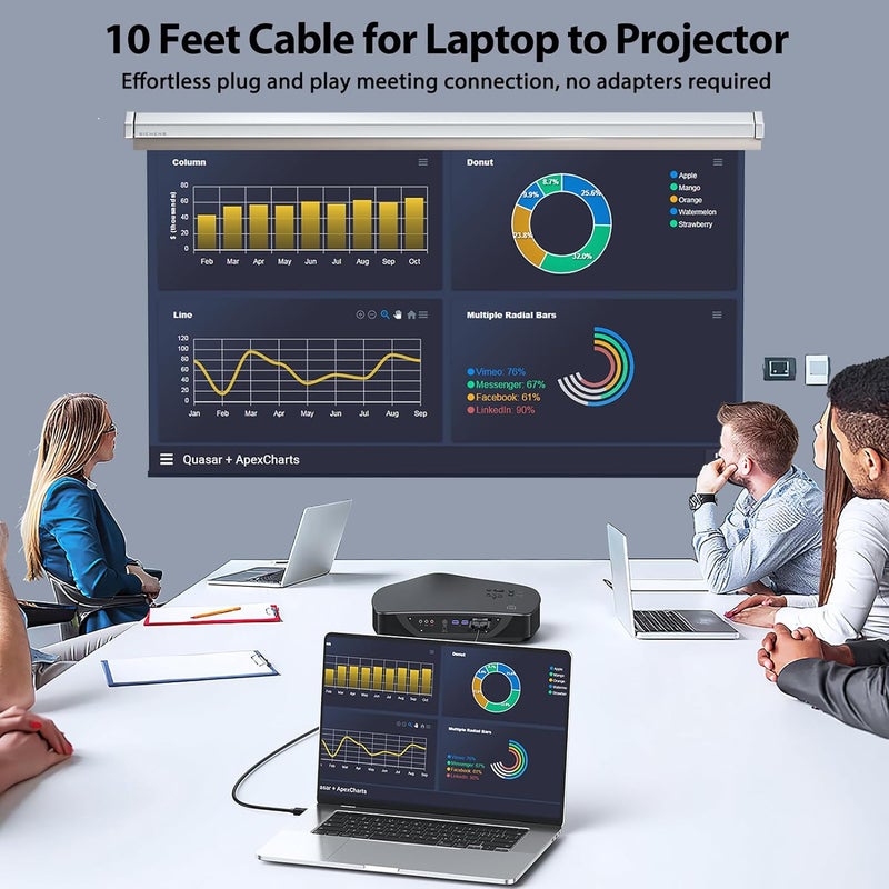 FEMORO HDMI to VGA Cable 10 Feet 1080P@60Hz Male to Male Braided Cord for Monitor, Computer, Desktop, Laptop, PC, Projector, HDTV, Xbox One and More - Image 4